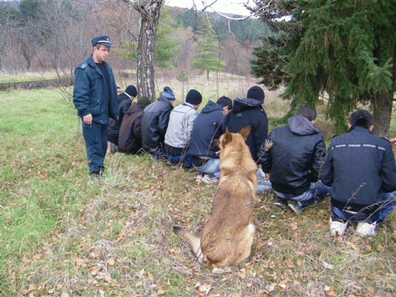 Бум на имигранти от Сирия