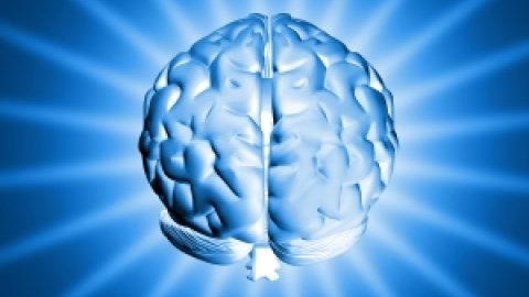 Network Brain Machine Interface материализира силата на мисълта