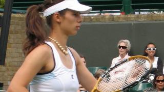 Цветана Пиронкова, тенис, WTA