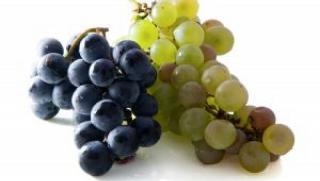 грозде, плодове, болести, медицина