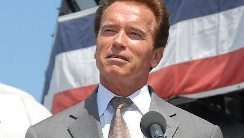 Schwarzenegger, Chan and Fleming star in a Russian-Chinese language movie
 – 2024-07-23 14:27:39