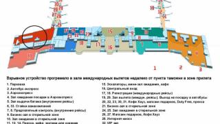 атентати, Русия, летище
