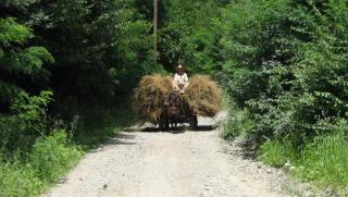 каруци, регистрационни номера