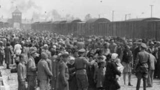 50-100 години, клане, войни, пълно унищожение