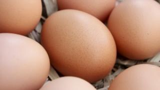 Яйца, вреда, здраве