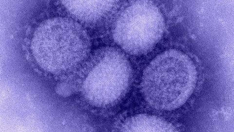 Смъртоносна супербактерия плъзна из болниците в Сърбия