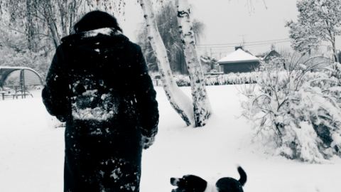 Как да харчим калории през зимата?