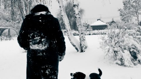 Как да харчим калории през зимата?