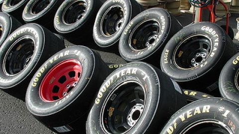 Япония използва руски глухарчета за автомобилни гуми