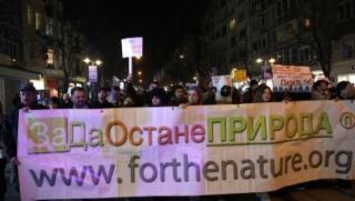 Парламент, зам. председател, комисия по земеделие, конфликт на интереси