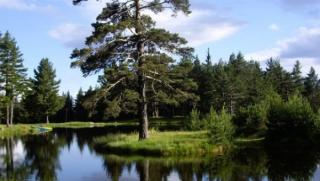 Времето, слънчево, горещо