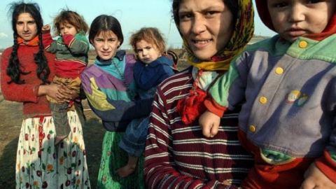 68 евро за всяка ромка, подложила се на стерилизация