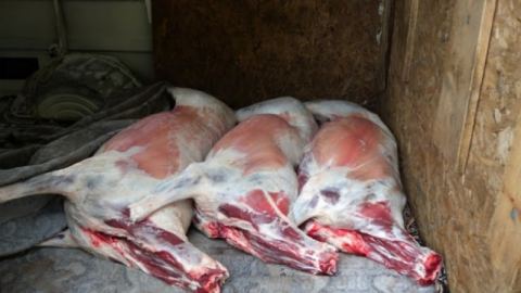Сърбите ядат смъртоносно месо от умрели животни