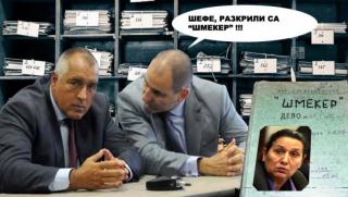 Даниела Пеловска, лице на протестиращите, стара познайница на Борисов