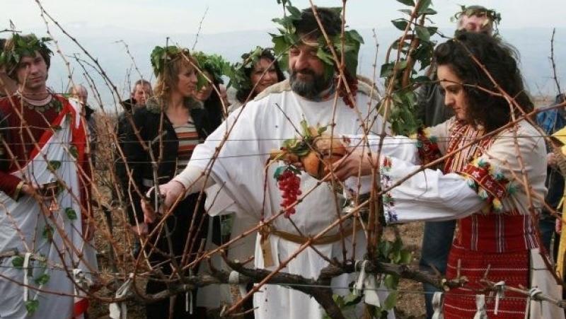 We celebrate St. Trifon Zarezan – View Info
 – 2024-09-04 00:43:26