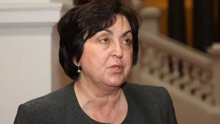 Лидия Руменова, Сметна палата, партии, закон