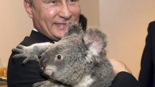 Владимир Путин, коала, среща, Г20