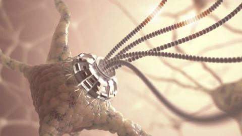До 2030 г. ще изпращаме електронни писма и снимки директно между мозъците си
