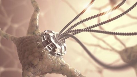До 2030 г. ще изпращаме електронни писма и снимки директно между мозъците си