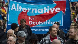 Вътрешна криза, Алтернатива за Германия, изборни резултати