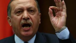 Ердоган, турци, Германия, избори