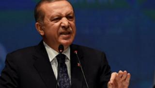 Германски турци, призив, Ердоган, гласуват, избори