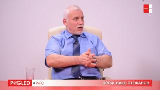 Проф. Нако Стефанов, Фашизоидни групи, национално-консервативни сили