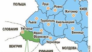 Закарпатски унгарци, автономия