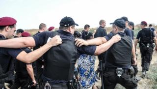 Руснаци,те и евреи, фашизъм, Украйна, цигани