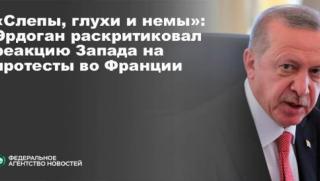 Ердоган, протести, Франция