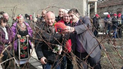 Станишев заряза лозе в монтанското село Георги Дамяново