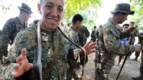 Американските военни се оплакаха, че живеят със змии