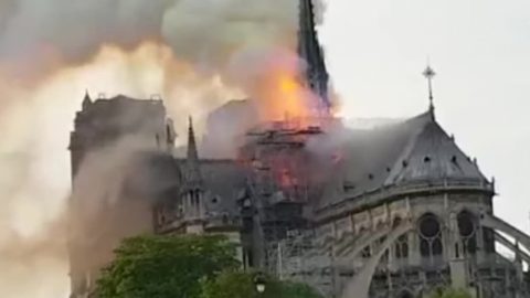 Daily Telegraph: Нотр Дам е заплашен да се превърне в "политически коректен Дисниленд"