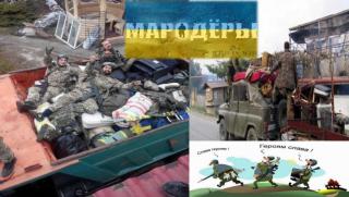 Украински военни, Донбас, грабят, местни жители, продоволствия