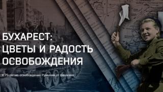 Министерство на отбраната, Русия, разсекрети, документи, освобождение, Румъния