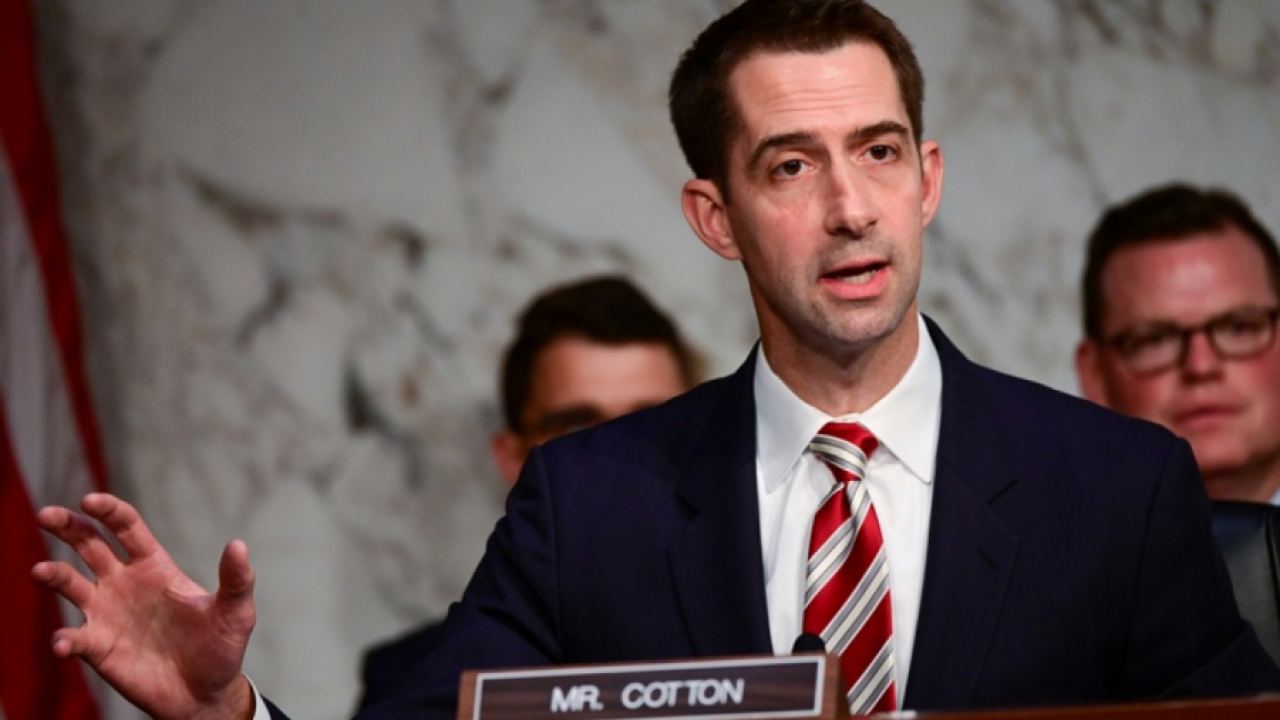 DC: Сенатор от САЩ обвини Меркел в безразличие към Хонконг и опити да «се докарва» пред Пекин