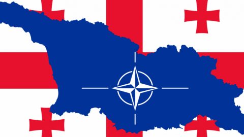 ВИЦ: Грузия - член на НАТО
