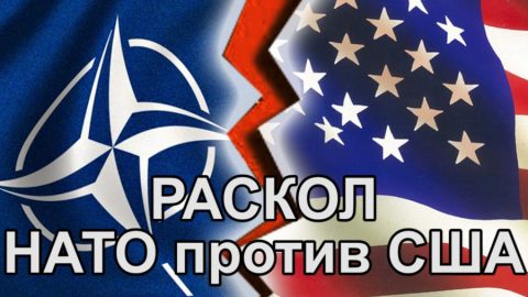 НАТО на 70 или криза на системата