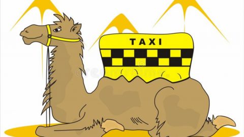 ВИЦ: Арабин в такси