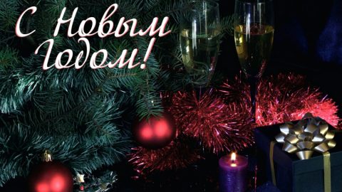 ВИЦ: Нова година