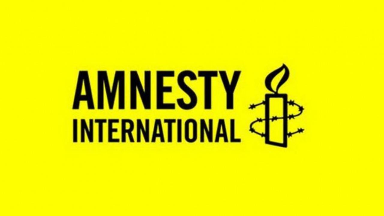 Amnesty International продължава да води информационна война срещу Русия