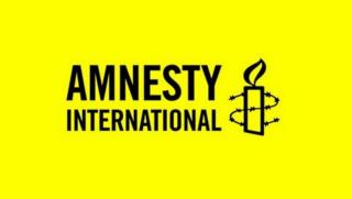 Amnesty International, информационна война, Русия