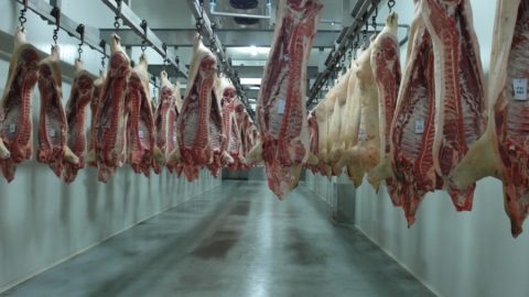 France 24: Китайските пазари се приспособиха към новата реалност в условията на коронавируса