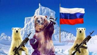 Крим, Die Welt, предупреждава, Запада, загуби, Арктика