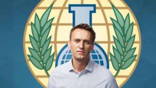 Доклад, OЗХО, отравяне, Навални, организатори