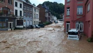 Frankfurter Allgemeine, Наводнения, отрови, немската почва