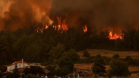 France 3: Печален рекорд - огънят изгори 56 хиляди хектара земя в Гърция