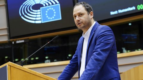 Петър Витанов: Мирът няма да се установи със самолети, а с активни политически действия