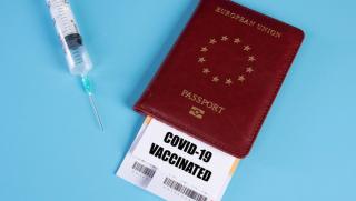 Der Standard, желание, руснаци, пътуват, фалшиви сертификати, ваксинация, ЕС