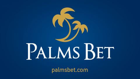 Бонуси и маркетинг - стратегията на Palms Bet за развитие на успешен бранд